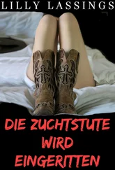 Lilly Lassings - Die Zuchtstute wird eingeritten