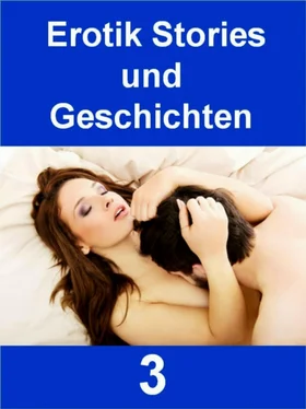 Kim Kurz Erotik Stories und Geschichten 3 - 371 Seiten обложка книги