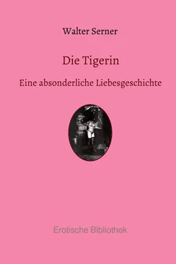 Walter Serner Die Tigerin обложка книги