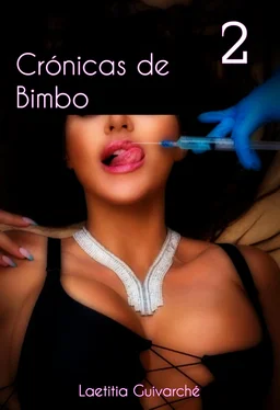 Laetitia Guivarché Crónicas de Bimbo 2 обложка книги