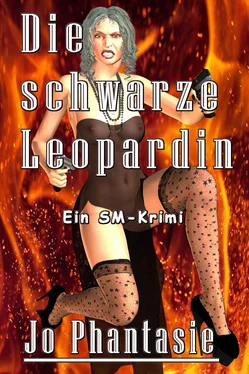 Jo Phantasie Die schwarze Leopardin обложка книги