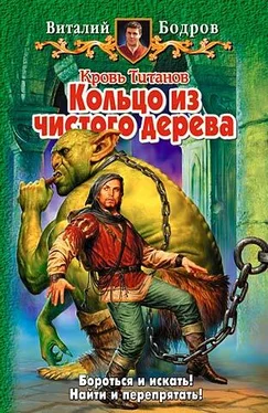 Виталий Бодров Кольцо из чистого дерева обложка книги