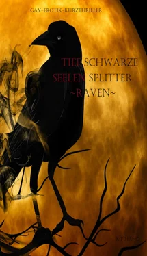 K.P. Hand Tiefschwarze Seelensplitter обложка книги