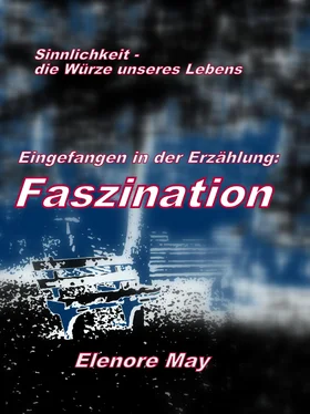 Elenore May Faszination обложка книги