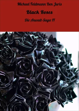 Michael Feldmann Ben Juris Black Roses обложка книги