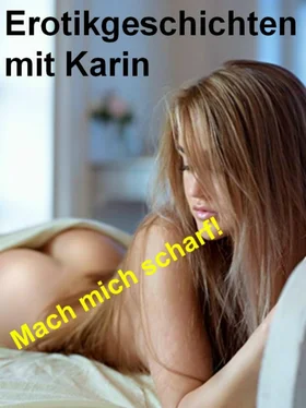 Rudolf Gebert Erotikgeschichten mit Karin обложка книги