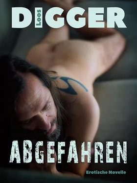 Loos Digger Abgefahren обложка книги