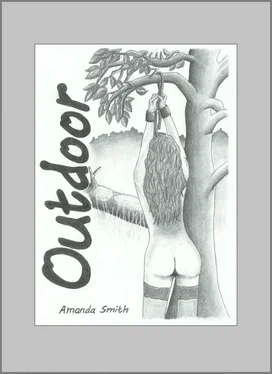 Amanda Smith Outdoor обложка книги