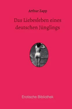 Arthur Zapp Das Liebesleben eines deutschen Jünglings обложка книги