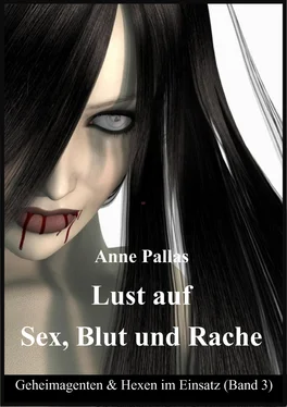 Anne Pallas Lust auf Sex, Blut und Rache обложка книги