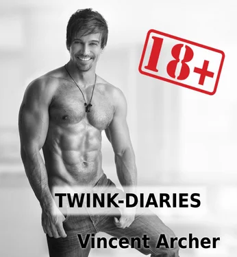 Vincent Archer Twink-Diaries - Männersache Vol. 1 обложка книги