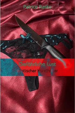 Patrice Raske Gefährliche Lust обложка книги