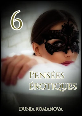Dunja Romanova Pensées érotiques 6 обложка книги