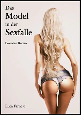Luca Farnese Das Model in der Sexfalle обложка книги