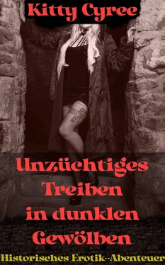 Kitty Cyree Unzüchtiges Treiben in dunklen Gewölben обложка книги