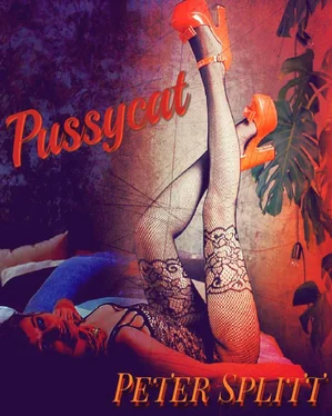 Peter Splitt Pussycat обложка книги