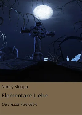 Nancy Stoppa Elementare Liebe обложка книги