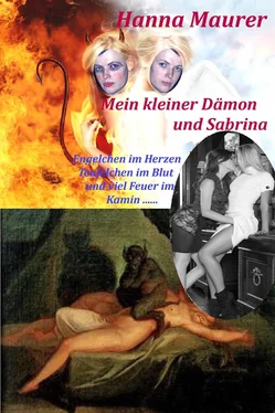 Hanna Maurer Mein kleiner Dämon und Sabrina обложка книги