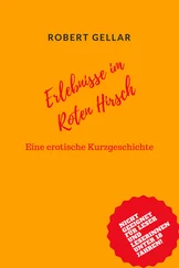 Robert Gellar - Erlebnisse im Roten Hirsch