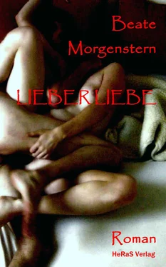 Beate Morgenstern Lieber Liebe обложка книги