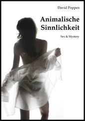 David Poppen - Animalische Sinnlichkeit