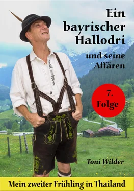 Toni Wilder Ein Bayerischer Hallodri und seine Affären Band 7 обложка книги