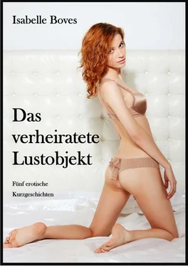 Isabelle Boves Das verheiratete Lustobjekt (Fünf erotische Kurzgeschichten) обложка книги