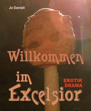 Jo Danieli Willkommen im Exzelsior обложка книги