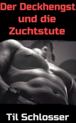 Til Schlosser - Der Deckhengst und die Zuchtstute