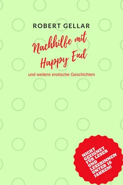 Robert Gellar Nachhilfe mit Happy End обложка книги