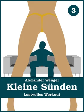 Alexander Wenger Kleine Sünden обложка книги