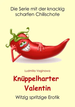 Ludmilla Vaginowa Knüppelharter Valentin обложка книги