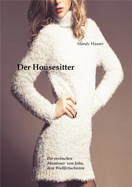 Mandy Hauser Der Housesitter обложка книги