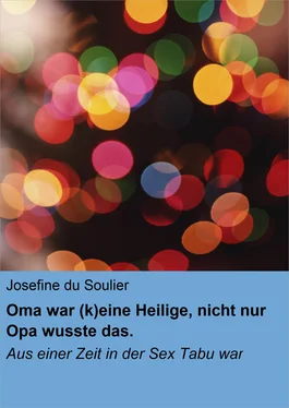 Josefine du Soulier Oma war (k)eine Heilige, nicht nur Opa wusste das. обложка книги