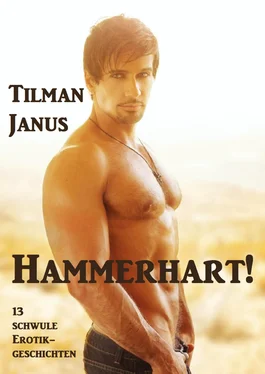 Tilman Janus Hammerhart! обложка книги