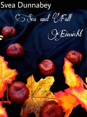 Svea Dunnabey Sea and Fall обложка книги