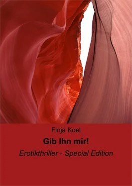 Finja Koel Gib Ihn mir! обложка книги