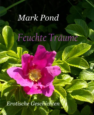 Mark Pond Feuchte Träume обложка книги