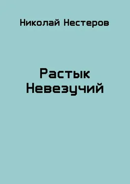 Николай Нестеров Растык Невезучий обложка книги