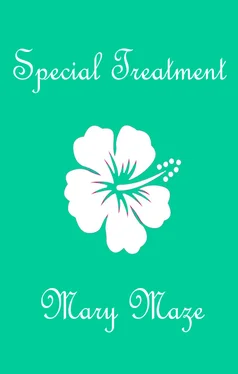 Mary Maze Special Treatment обложка книги