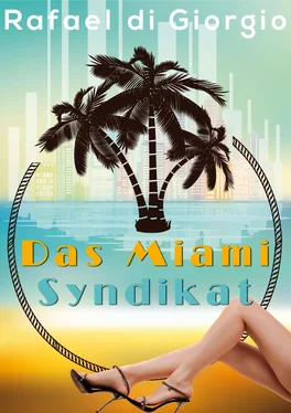 Rafael di Giorgio Das Miami Syndikat обложка книги