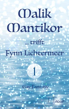 I. Tame Malik Mantikor … trifft Fynn Lichtermeer обложка книги