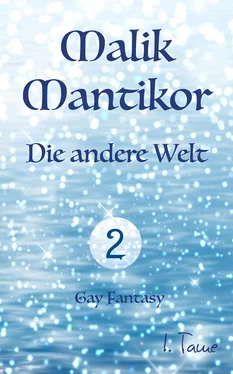 I. Tame Malik Mantikor: Die andere Welt обложка книги