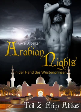 Luca B. Seger Arabian Nights - In der Hand des Wüstenprinzen обложка книги