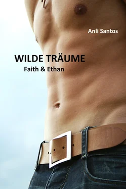 Anli Santos Wilde Träume 3 обложка книги