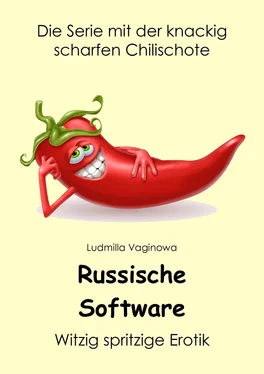 Ludmilla Vaginowa Russische Software обложка книги