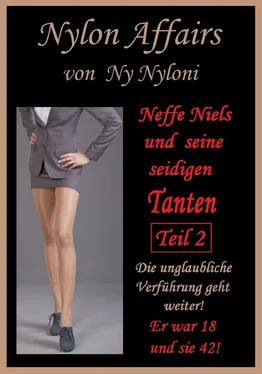 Ny Nyloni Neffe Niels und seine seidigen Tanten Teil 2 обложка книги