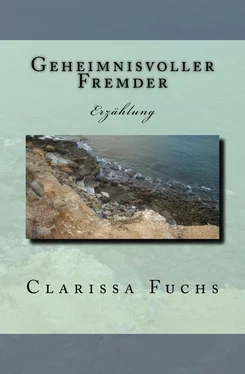 Clarissa Fuchs Geheimnisvoller Fremder обложка книги