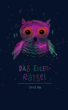 Ghila Pan Das Eulenrätsel обложка книги
