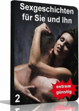 Ilona Melchner Sexgeschichten für Sie und Ihn 2 обложка книги